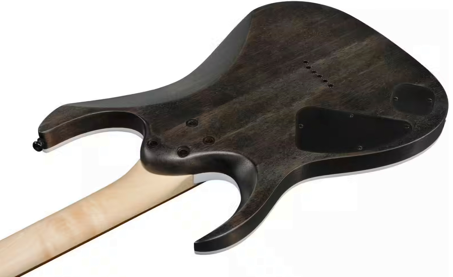 Ibanez Rga42ah Bks Standard 2h Ht Jat - Black Stained - Str shape electric guitar - Variation 3