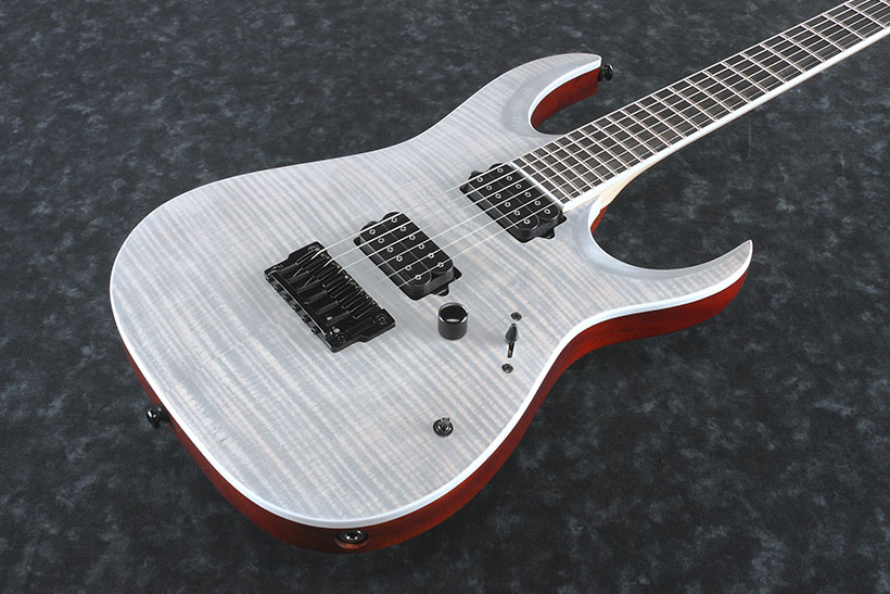 Ibanez Iron Label Rgaix6fm Wff Hh Dimarzio Ht Eb - White Frost Flat - Str shape electric guitar - Variation 1