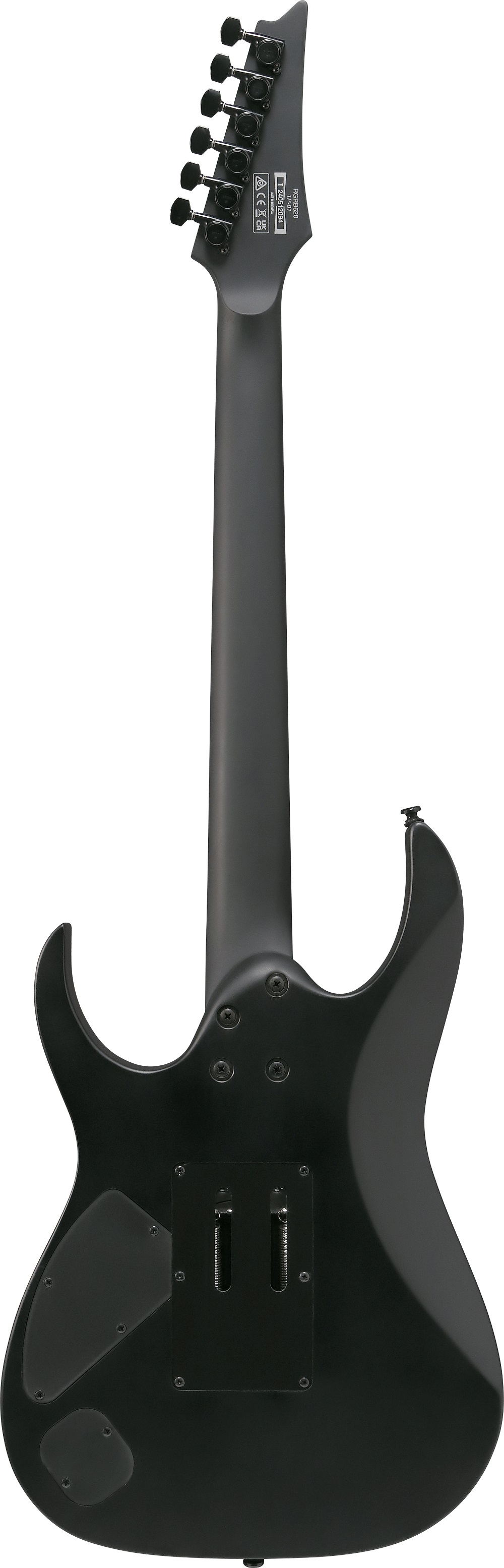 Ibanez Rgrb620bkf Trem Hh Eb - Black Flat - Str shape electric guitar - Variation 2