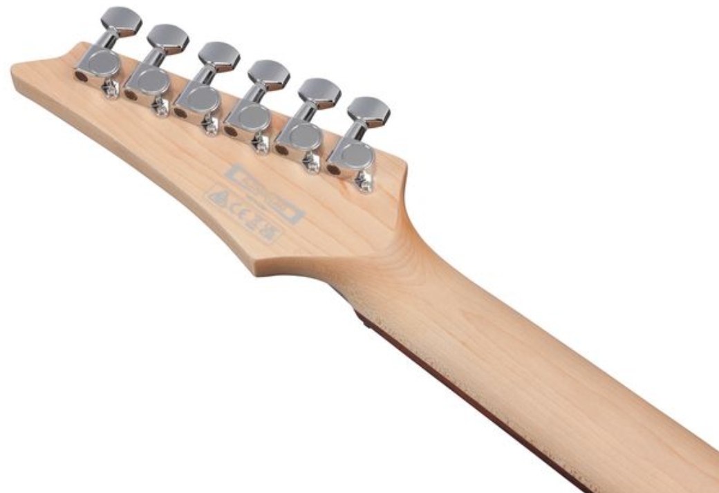 Ibanez Sa260fm Brg Standard Hss Trem Jat - Blue Reef Gradation - Str shape electric guitar - Variation 4