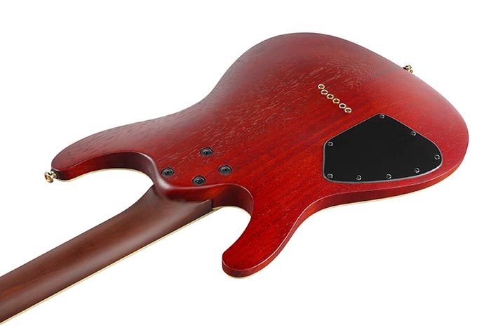Ibanez Sew761fm Ntf Standard Hss Dimarzio Ht Rw - Natural Flat - Str shape electric guitar - Variation 3
