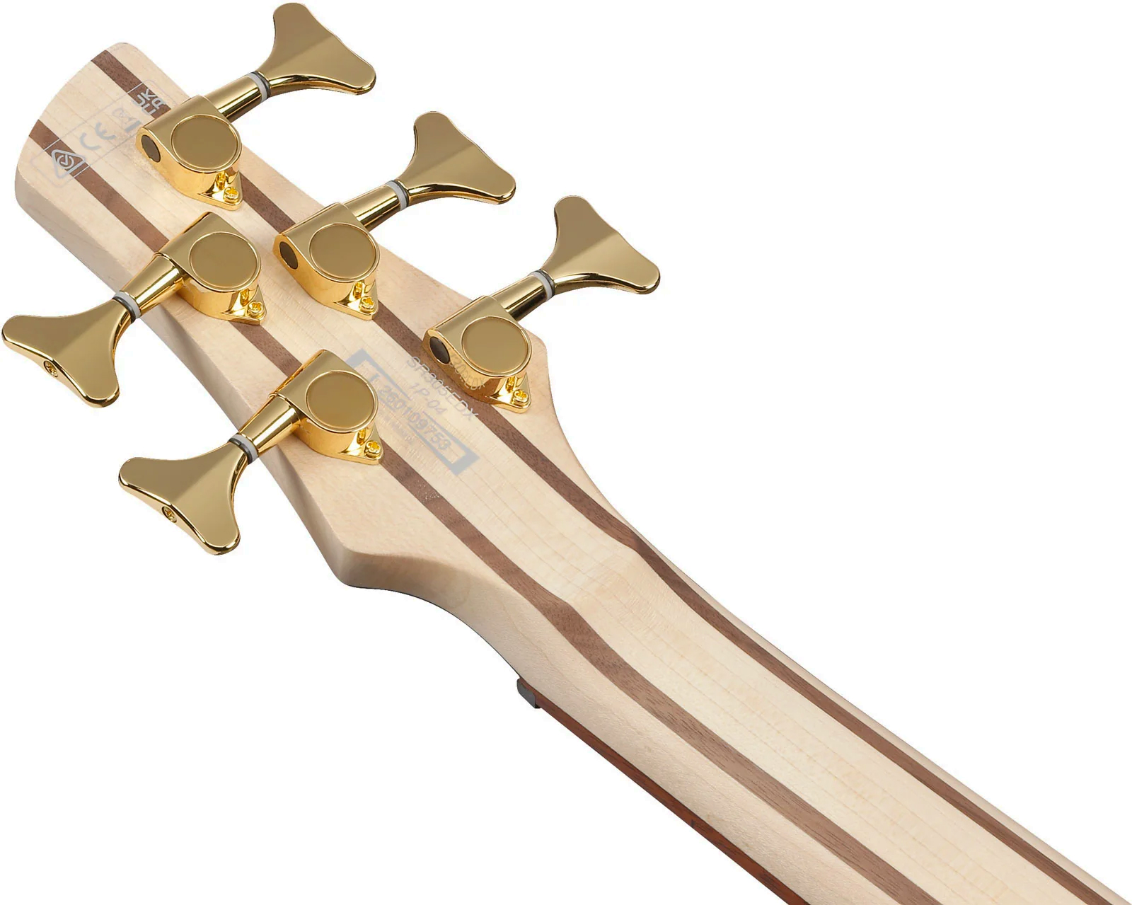 Ibanez Sr305edx Fdm Standard 5c Active Jat - Frozen Gold Matte - Solid body electric bass - Variation 5