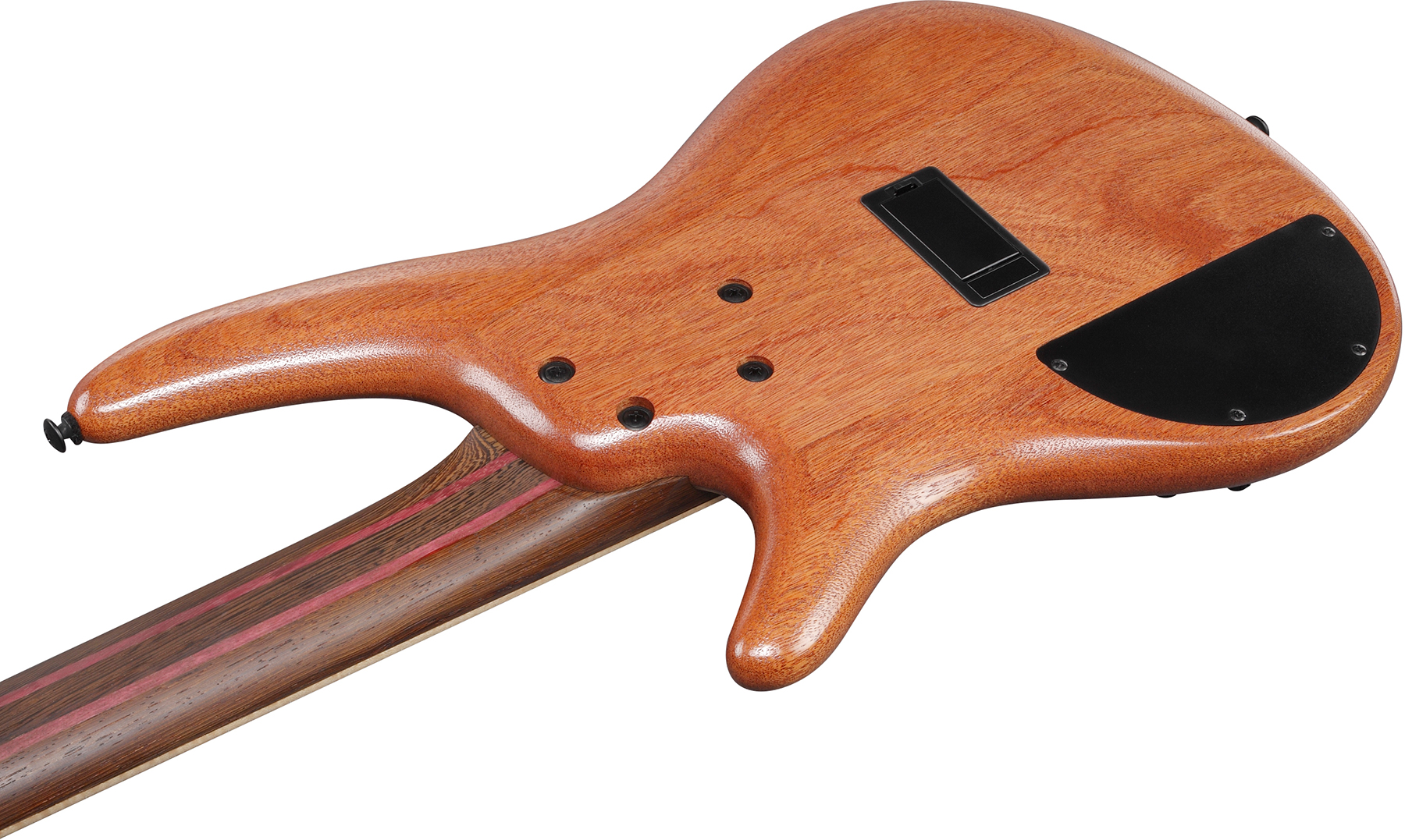 Ibanez SR5FMDX EGL Premium natural low gloss Solid body electric bass