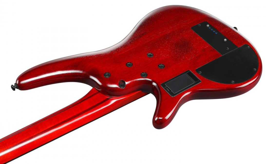 Ibanez Srd900f Fretless Workshop Active Piezo Pp - Brown Topaz Burst Low Gloss - Semi & hollow-body electric bass - Variation 3