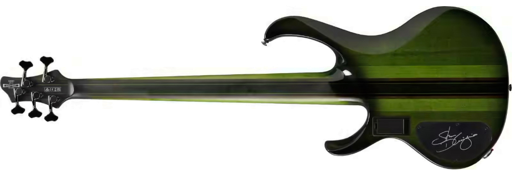 Ibanez Steve Di Giorgio Sdgb1 Dmt Signature Fretless 5c Active Ebo - Dark Moss Burst - Solid body electric bass - Variation 1