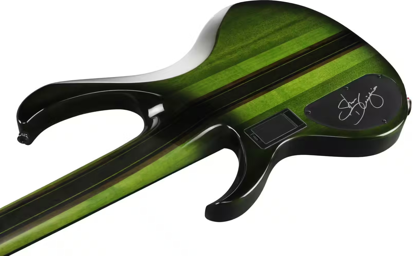 Ibanez Steve Di Giorgio Sdgb1 Dmt Signature Fretless 5c Active Ebo - Dark Moss Burst - Solid body electric bass - Variation 3