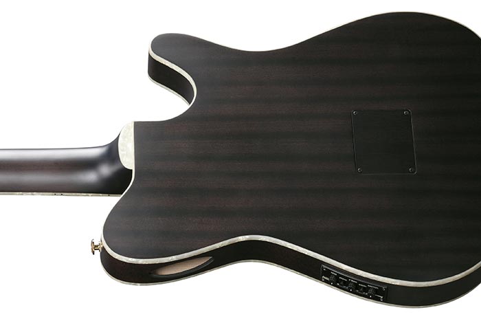 Ibanez Tim Henson Tod10n Tkf Ind Signature Lh Gaucher Epicea Sapele Rw - Transparent Black Flat - Classical guitar 4/4 size - Variation 2