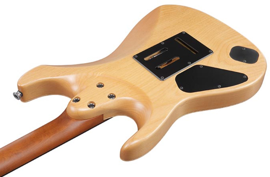 Ibanez Tom Quayle Tqm2 Jap Signature Hss Trem Rw - Charcol Black Burst Flat - Signature electric guitar - Variation 4