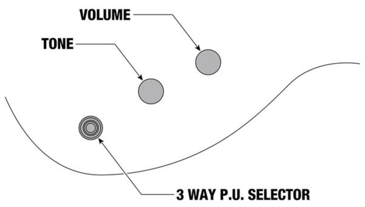 Ibanez Xpt420dx Rgc Standard 2h Fr Rw - Rose Gold Chameleon - Metal electric guitar - Variation 5