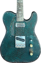 Tel shape electric guitar James trussart Steeltopcaster #12204 - Rusty Engraved Snake Skin