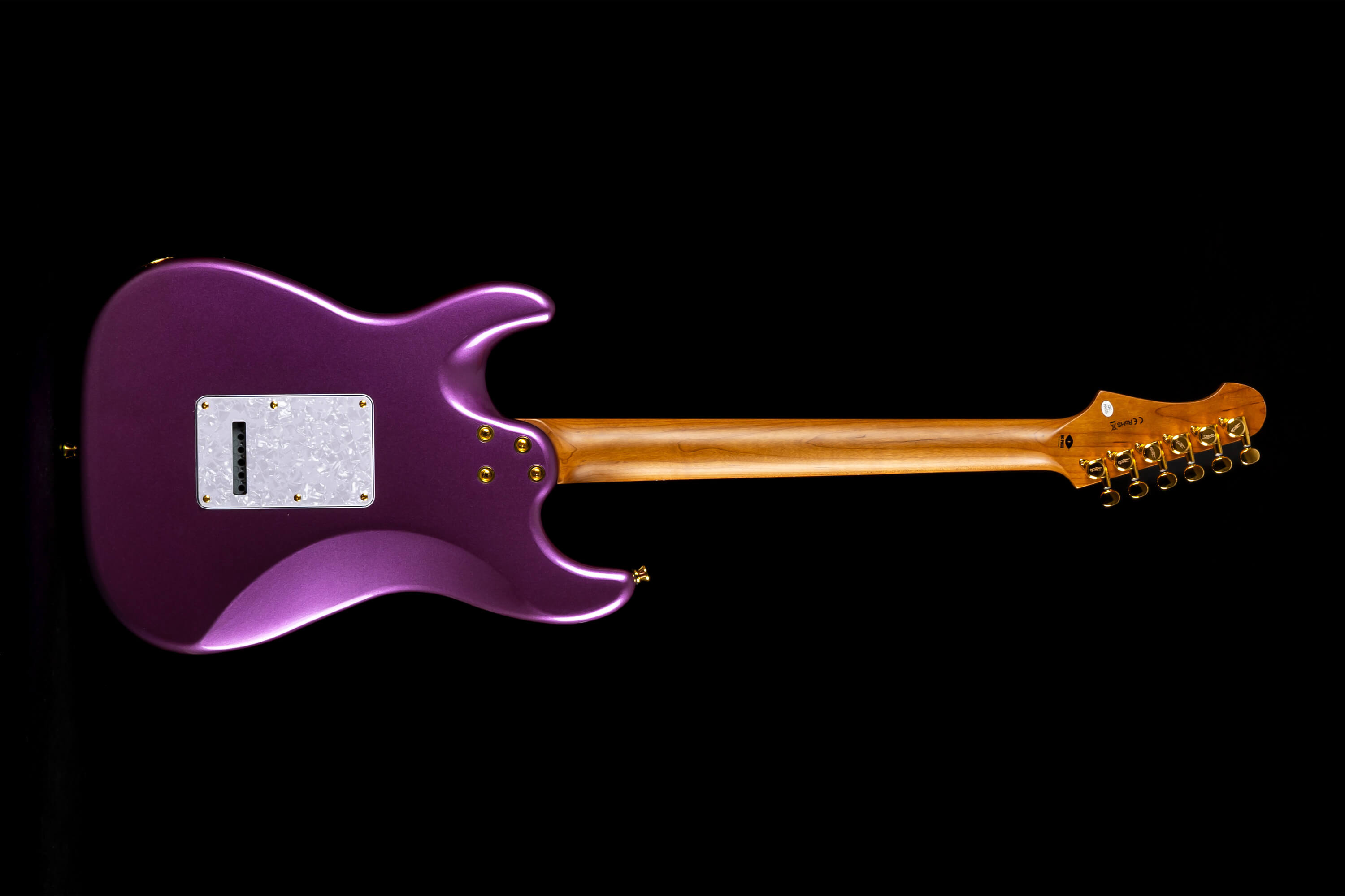 Jet Guitars Js480 Vi G Hss Trem Rw - Violet - Str shape electric guitar - Variation 1