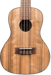 KA-PWC Pacific Walnut Concert - natural satin