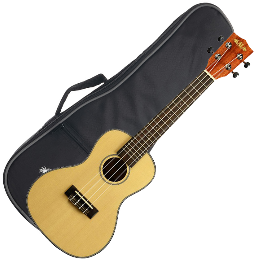 Kala Ka-scg Solid Spruce Mahogany Concert Epicea Acajou Lau +housse - Natural Satin - Ukulele - Variation 3