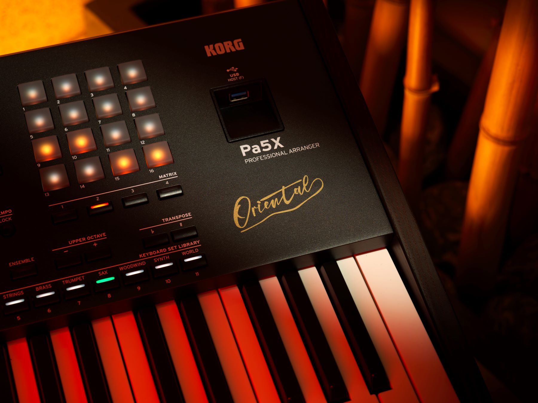 Korg Pa5x Oriental 61 - Entertainer Keyboard - Variation 2