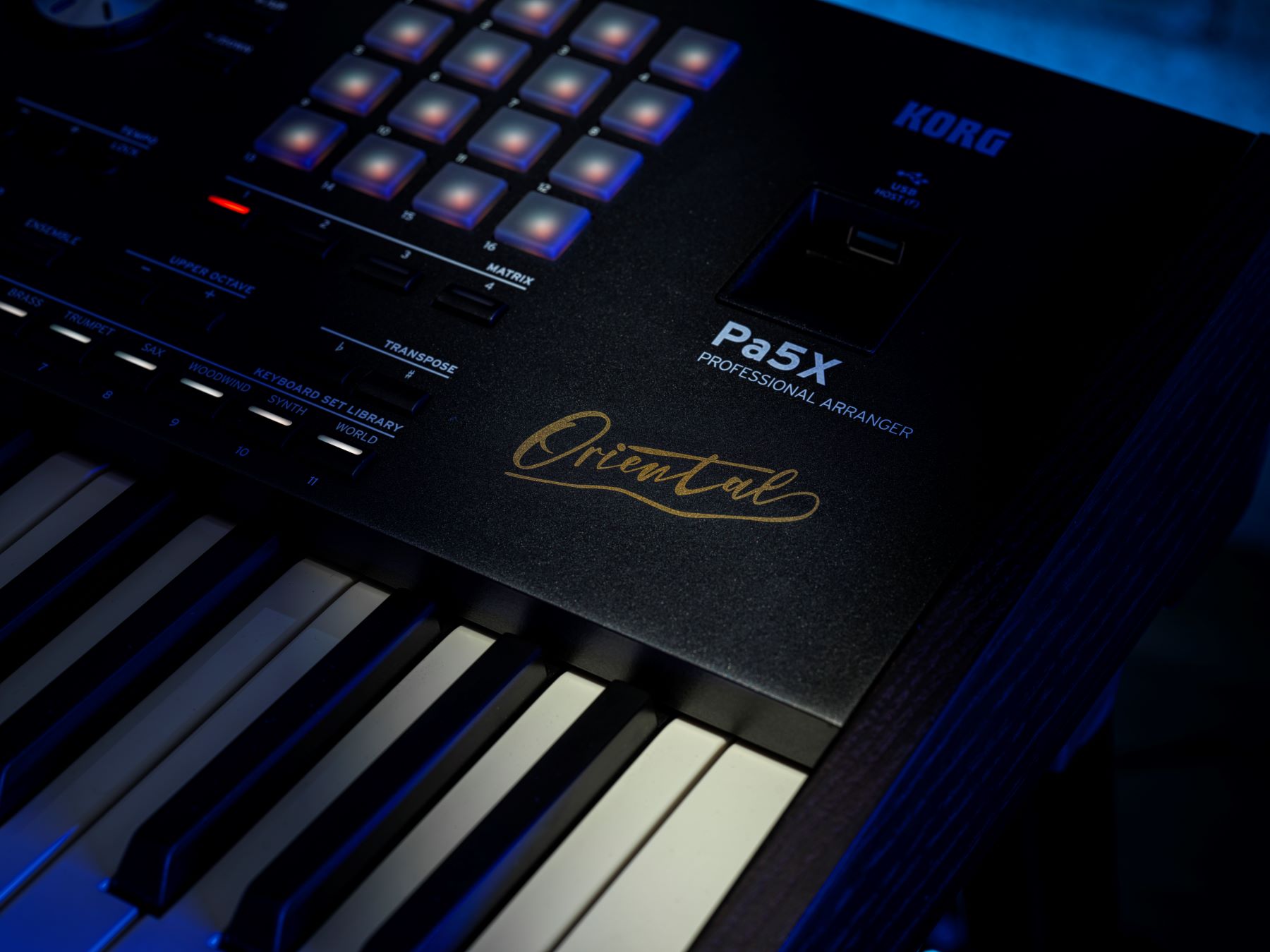 Korg Pa5x Oriental 76 - Entertainer Keyboard - Variation 4