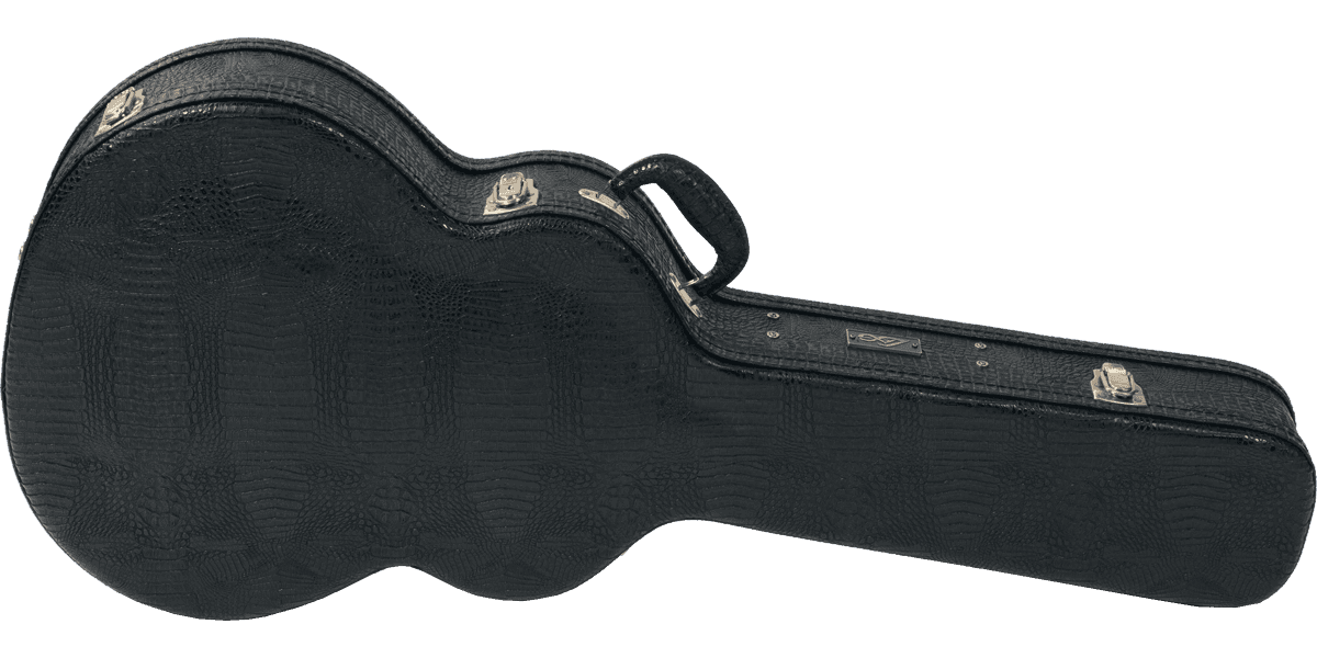 lag guitar case