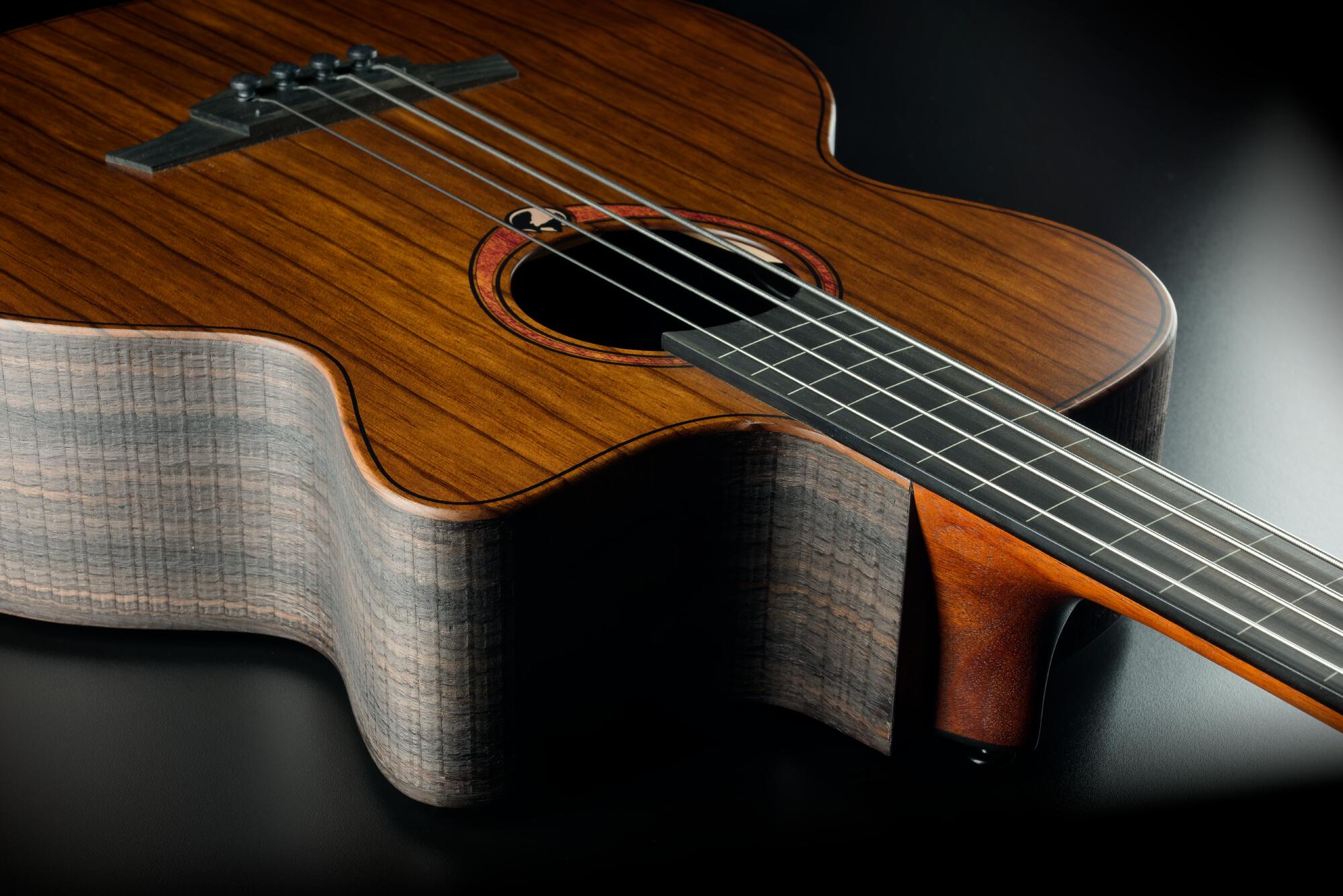 Lag Sauvage Basse Fretless Electro Br - Natural - Acoustic bass - Variation 3