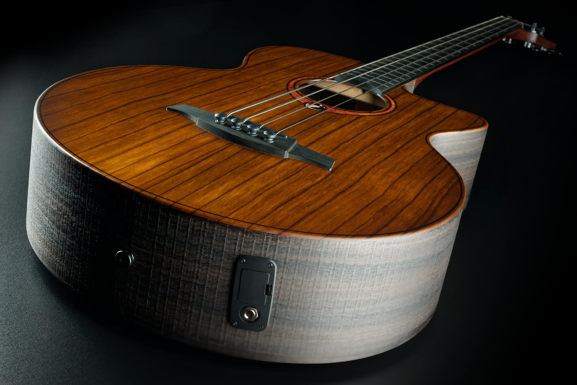 Lag Sauvage Basse Fretless Electro Br - Natural - Acoustic bass - Variation 4