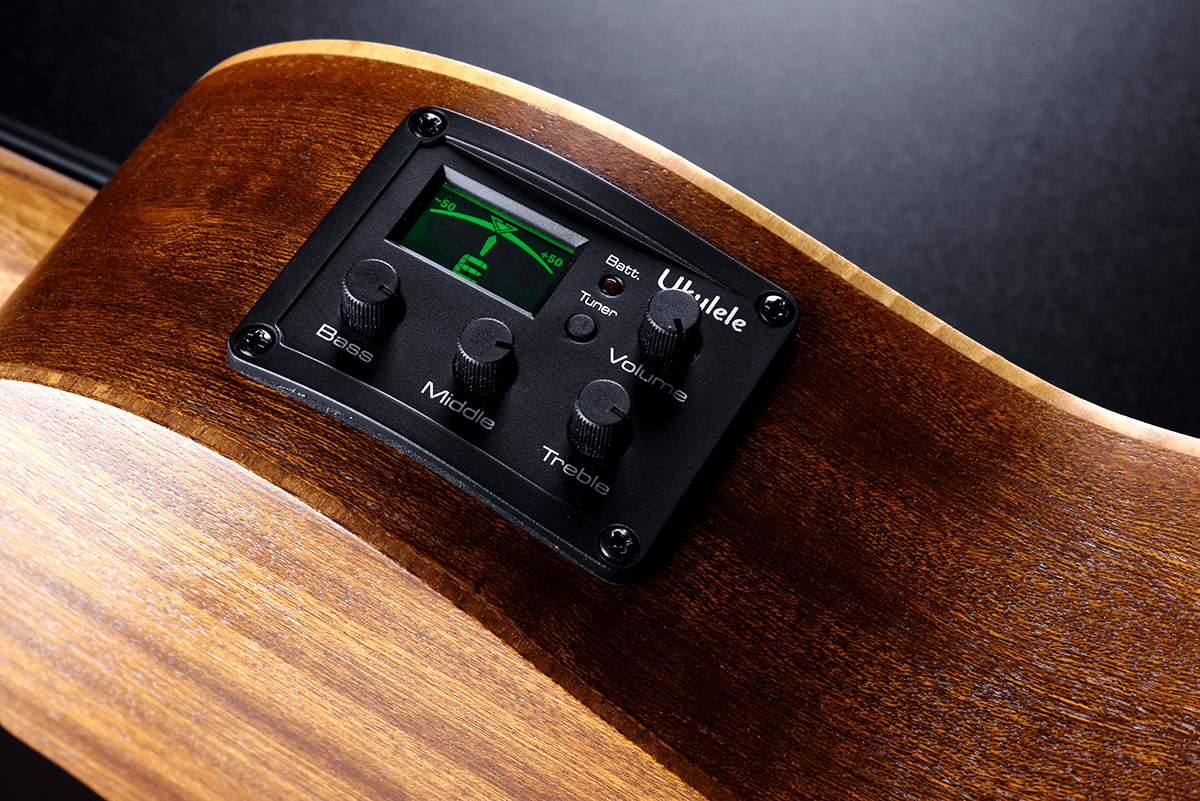 Lag Tkb150fce Mini Bass Fretless Tiki Cw Epicea Acajou +housse - Natural - Acoustic bass - Variation 6