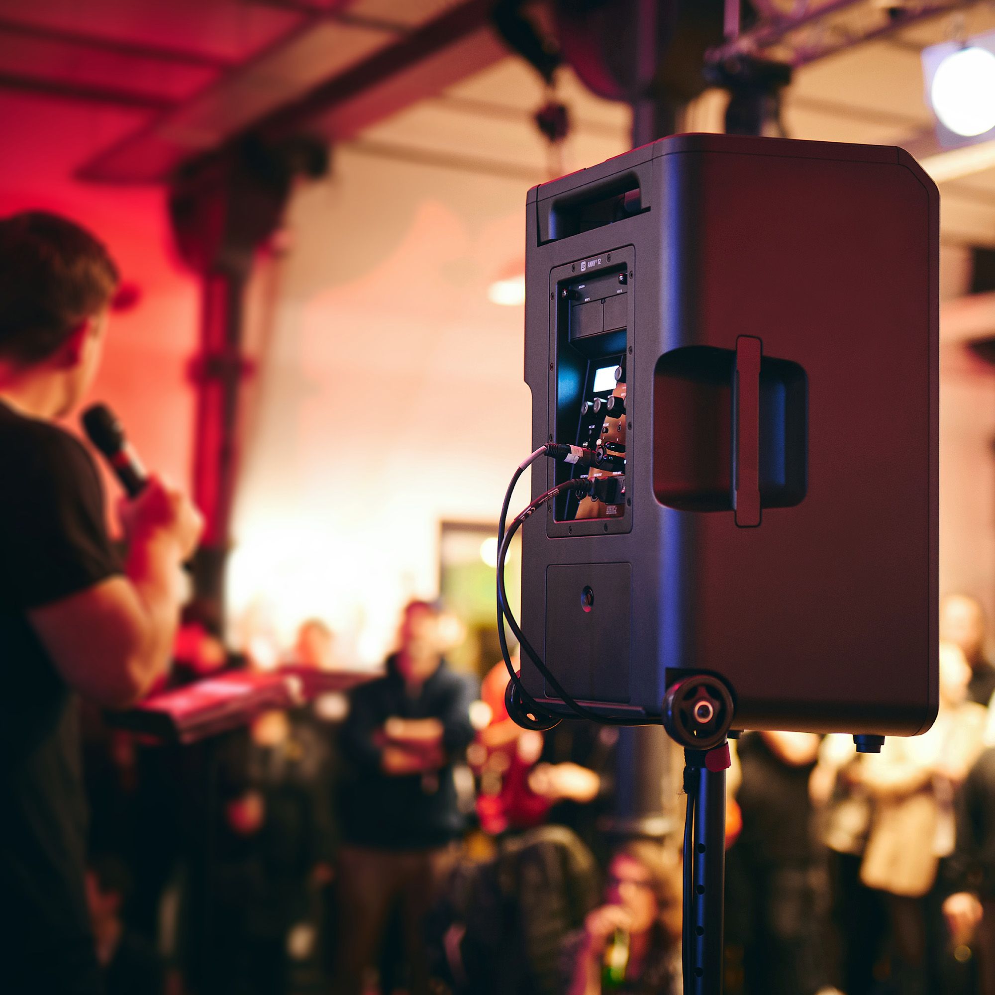Ld Systems Anny 12 - Portable PA system - Variation 10