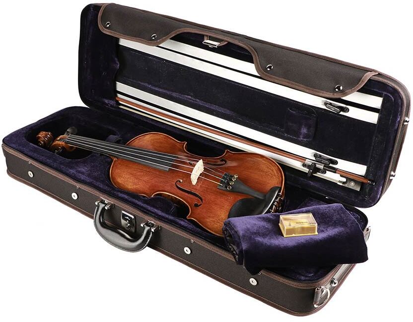 Leonardo Lv-5044 Maestro 4/4 Avec Etuis Et Archet - Acoustic violin - Main picture