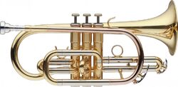 Cornet of study Levante CR5205