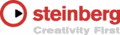 logo STEINBERG