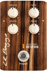 Acoustic preamp Lr baggs Align Reverb