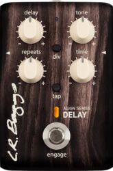 Acoustic preamp Lr baggs Align Series Delay