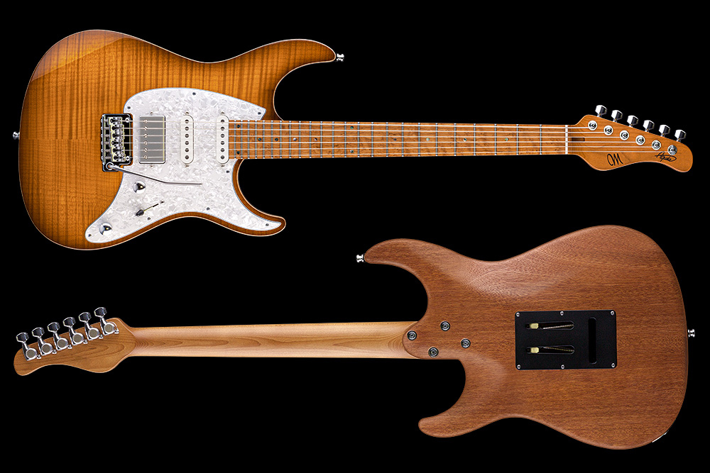 Mayones Guitars Aquila Fm 6 Hss Trem Mn - 2-tone Sunburst - Str shape electric guitar - Variation 1