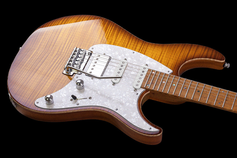 Mayones Guitars Aquila Fm 6 Hss Trem Mn - 2-tone Sunburst - Str shape electric guitar - Variation 2