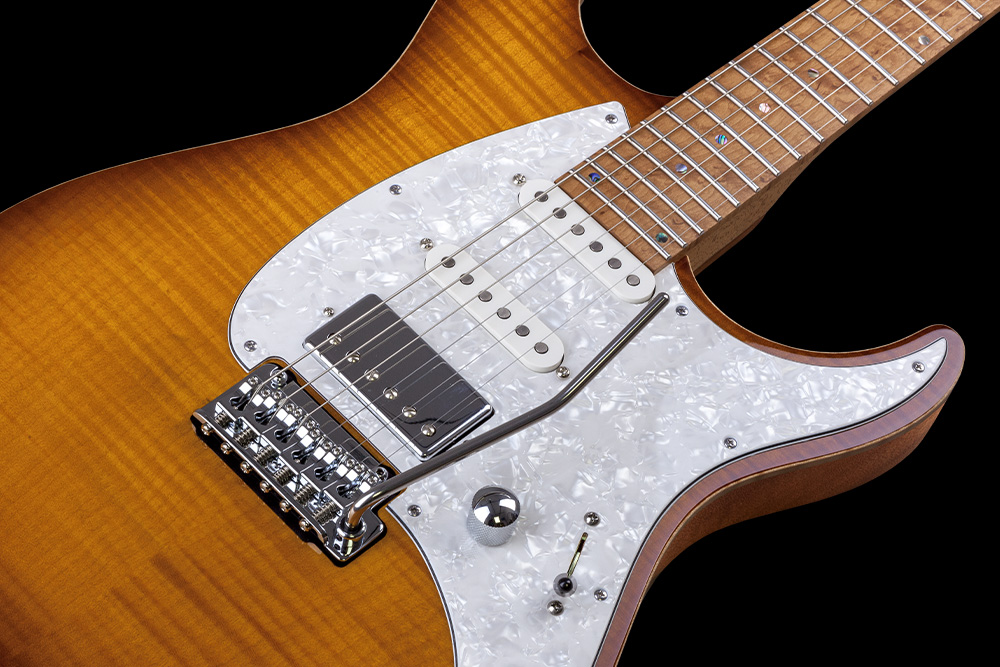 Mayones Guitars Aquila Fm 6 Hss Trem Mn - 2-tone Sunburst - Str shape electric guitar - Variation 3