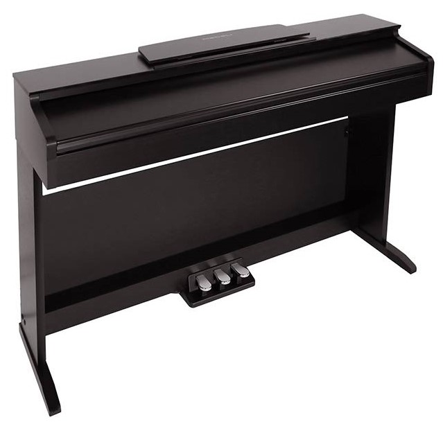 Medeli Dp 260 Rw - Digital piano with stand - Variation 1