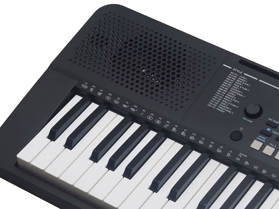 Medeli Mk110 - Entertainer Keyboard - Variation 10
