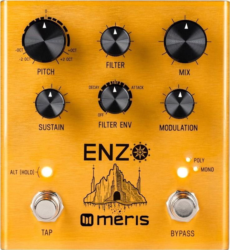 Guitar synthesizer Meris Enzo Multi-Voice Instrument Synthesizer
