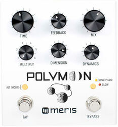 Reverb, delay & echo effect pedal Meris Polymoon Delay