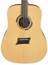 Folk guitar Michael kelly Triad 10E 10-String - Natural