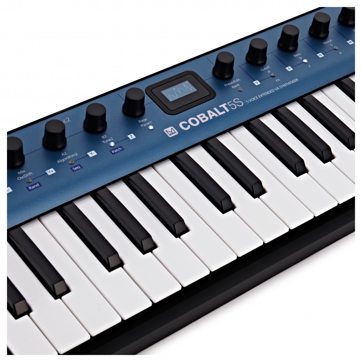 Modal Electronics Cobalt 5s - Synthesizer - Variation 4