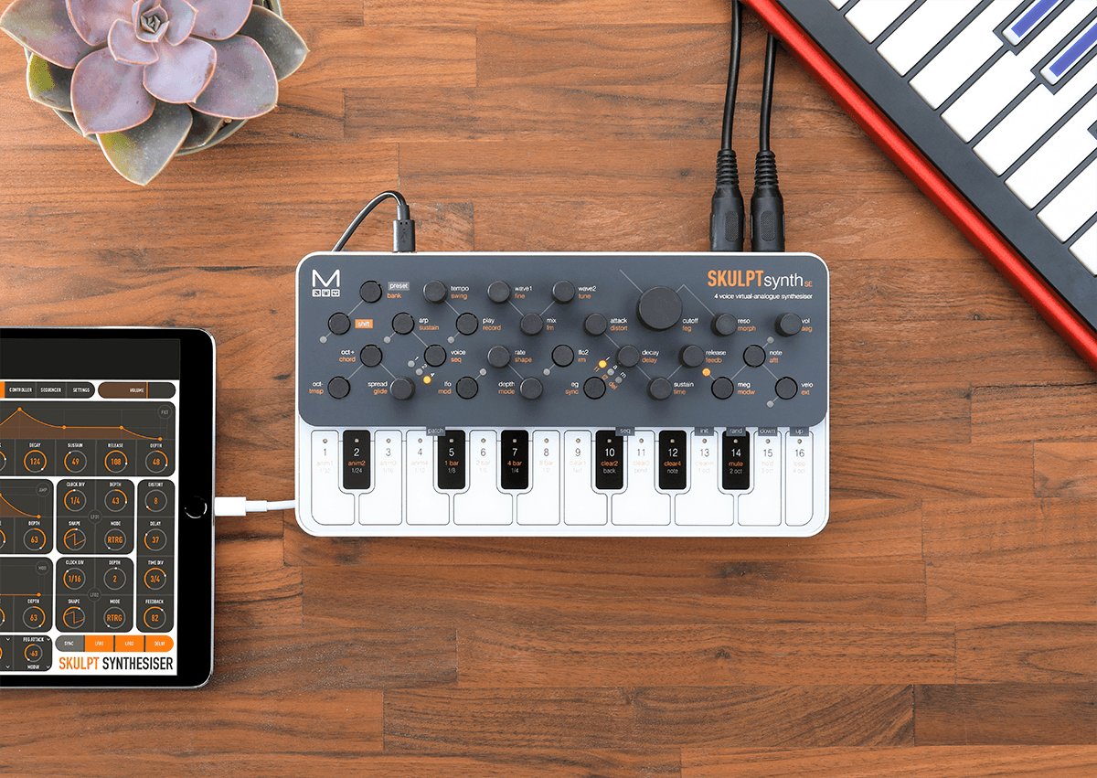 Modal Electronics Skulpt Synth Se - Synthesizer - Variation 6