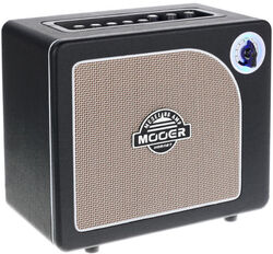 Electric guitar combo amp Mooer Hornet