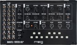 Expander Moog Mavis