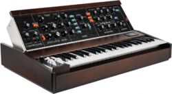 Synthesizer Moog Minimoog Model D 2022