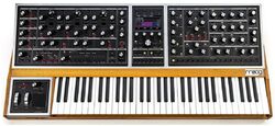 Synthesizer Moog One 8