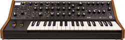 Synthesizer Moog Subsequent 37