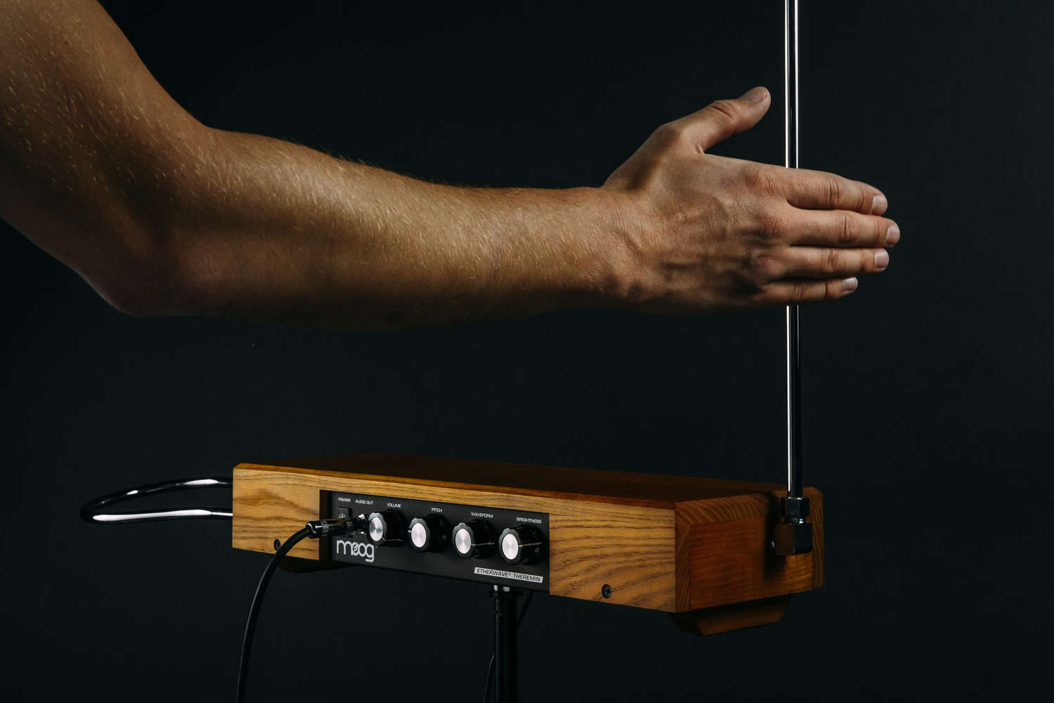 Moog Etherwave Theremin Ash - Expander - Variation 4