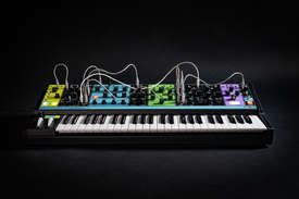 Moog Matriarch - Synthesizer - Variation 10
