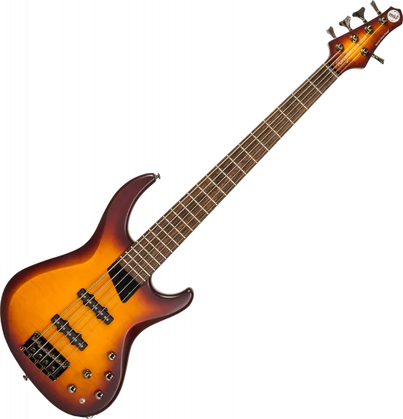 Solid body electric bass Mtd Kingston Saragota Deluxe KSDX5LA 5-String - Cherry burst
