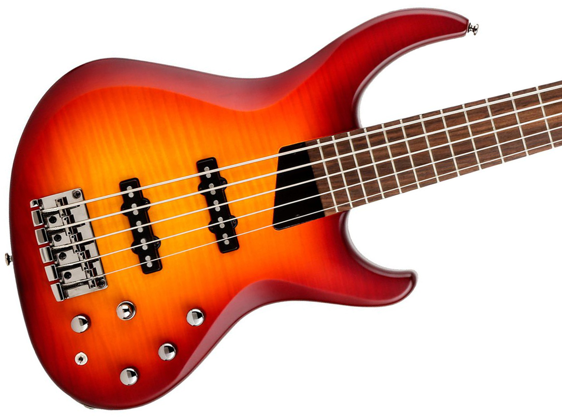 Mtd Saragota Deluxe Ksdx5mn-dcb Kingston 5c Active Lau - Deep Cherry Burst - Solid body electric bass - Variation 1