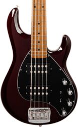 Solid body electric bass Music man StingRay Special HH 5-String +Gig Bag - Translucent oxblood