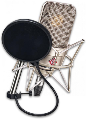 Neumann Tlm 49 + Xm 5200 Filtre Anti Pop Offert - Microphone pack with stand - Main picture